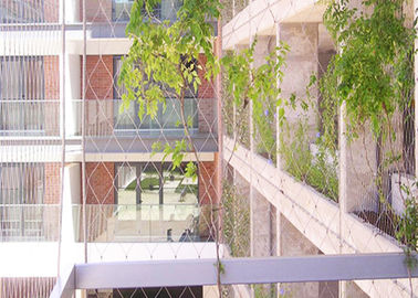 SS304 316 Wire Rope Plant trellis Climbing Stainless Steel Mesh